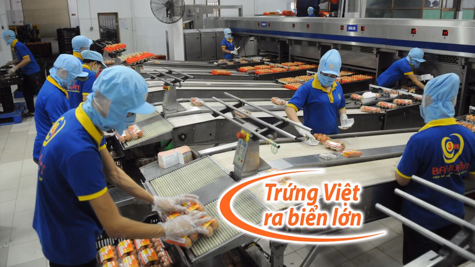 Trứng được qua hệ thống chiếu tia khử trùng.