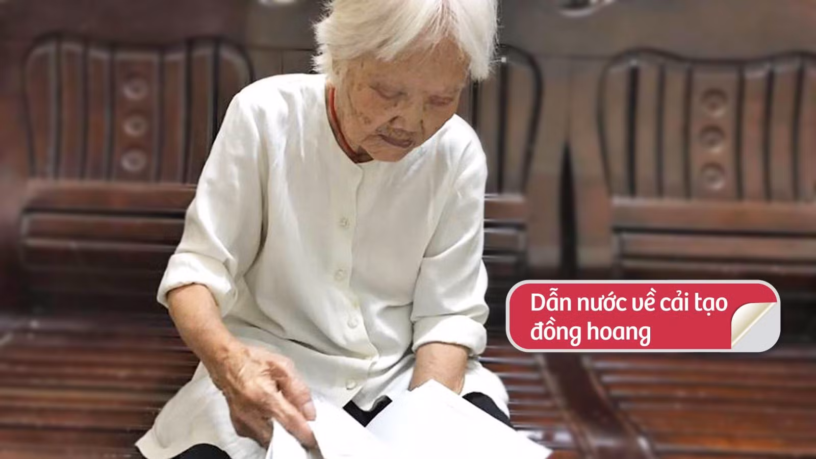 Ở ngoài kia trăng vẫn sáng trên đầu ảnh 7