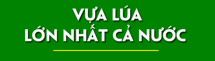 Kỳ vọng Đồng bằng sông Cửu Long cất cánh&nbsp; ảnh 1