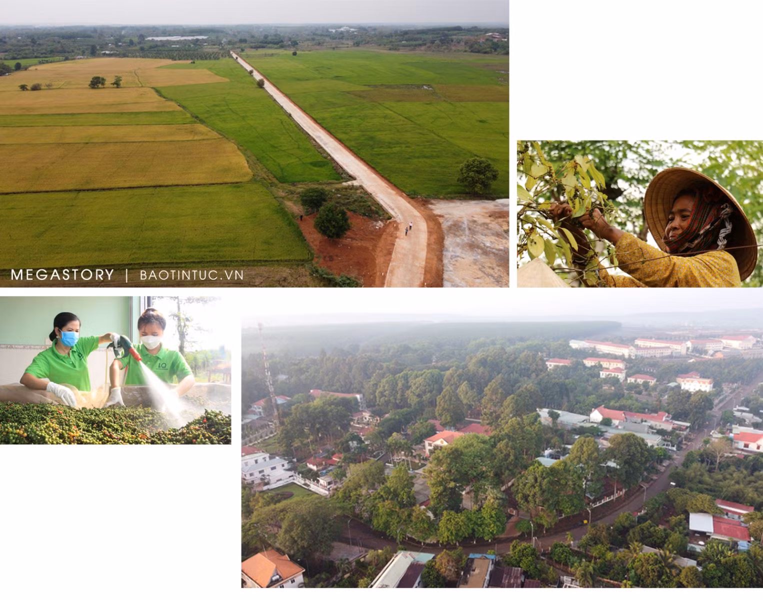 Về ‘Thủ đô kháng chiến’ Lộc Ninh ảnh 14
