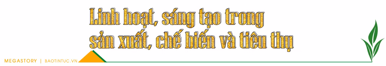 Tiếp nối những vụ mùa bội thu ảnh 1