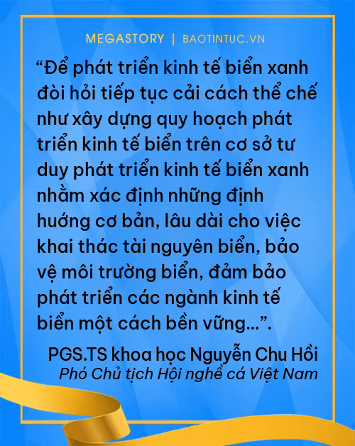 Phát triển kinh tế biển xanh ảnh 15