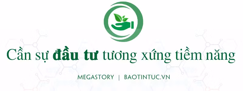 Bảo tồn và phát triển nguồn gen ảnh 11