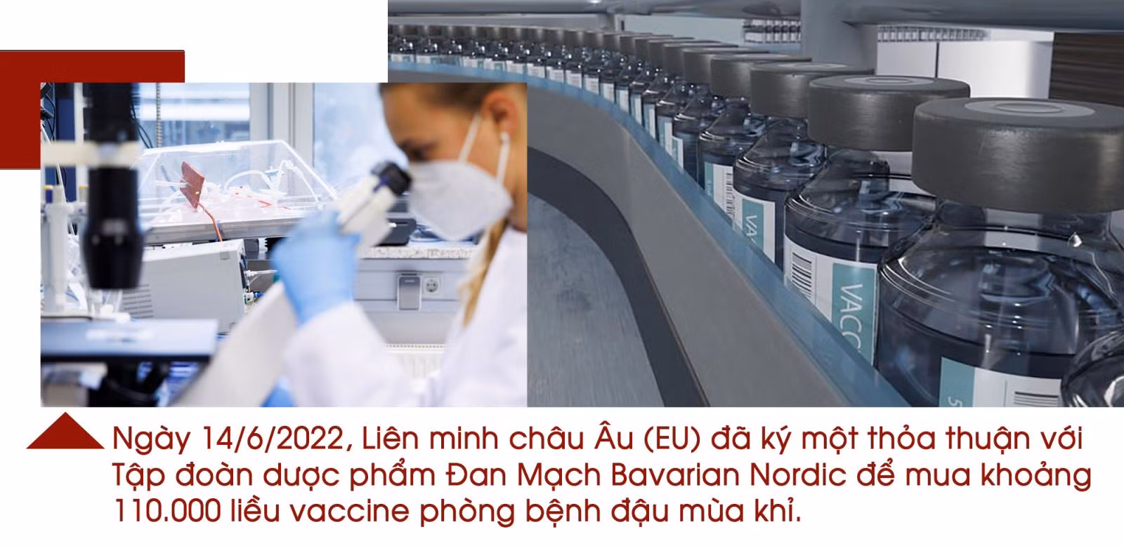 Cảnh giác với bệnh đậu mùa khỉ ảnh 10