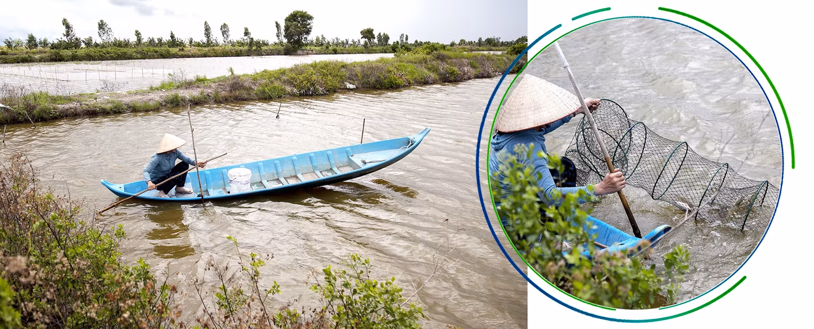 Ao nuôi tôm hữu cơ của Hợp tác xã Đoàn Phát (Cà Mau).