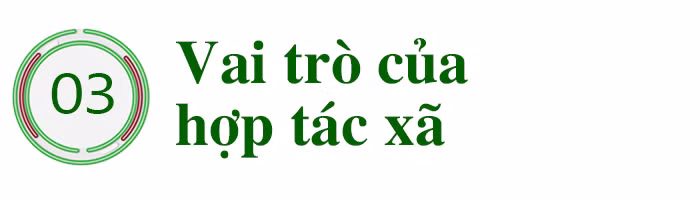 Khơi dòng chảy nông nghiệp xanh ảnh 9