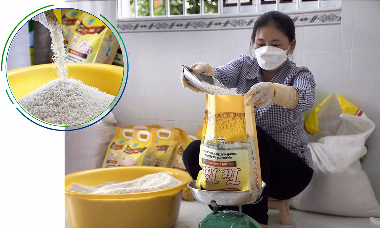 Sản phẩm gạo sạch Từ Tâm của Hợp tác xã Đoàn Phát, ấp 8, xã Trí Lực, huyện Thới Bình (Cà Mau), từ mô hình tôm - lúa hữu cơ.