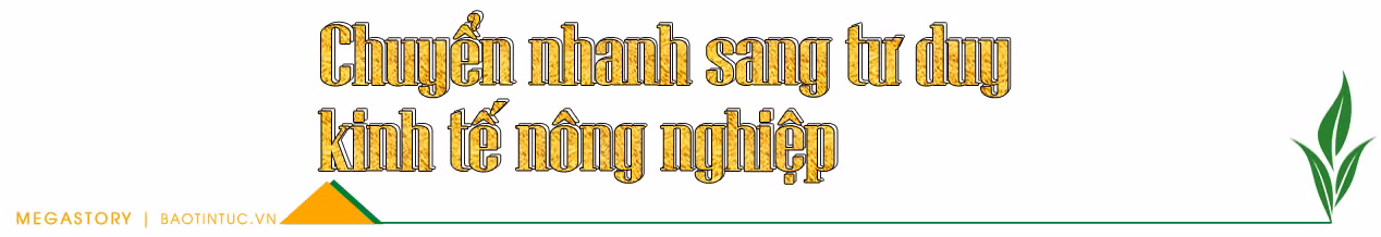 Tiếp nối những vụ mùa bội thu ảnh 10