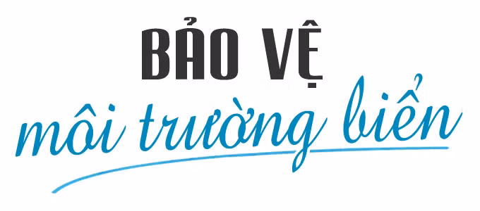 Sức hút du lịch biển, đảo ảnh 13