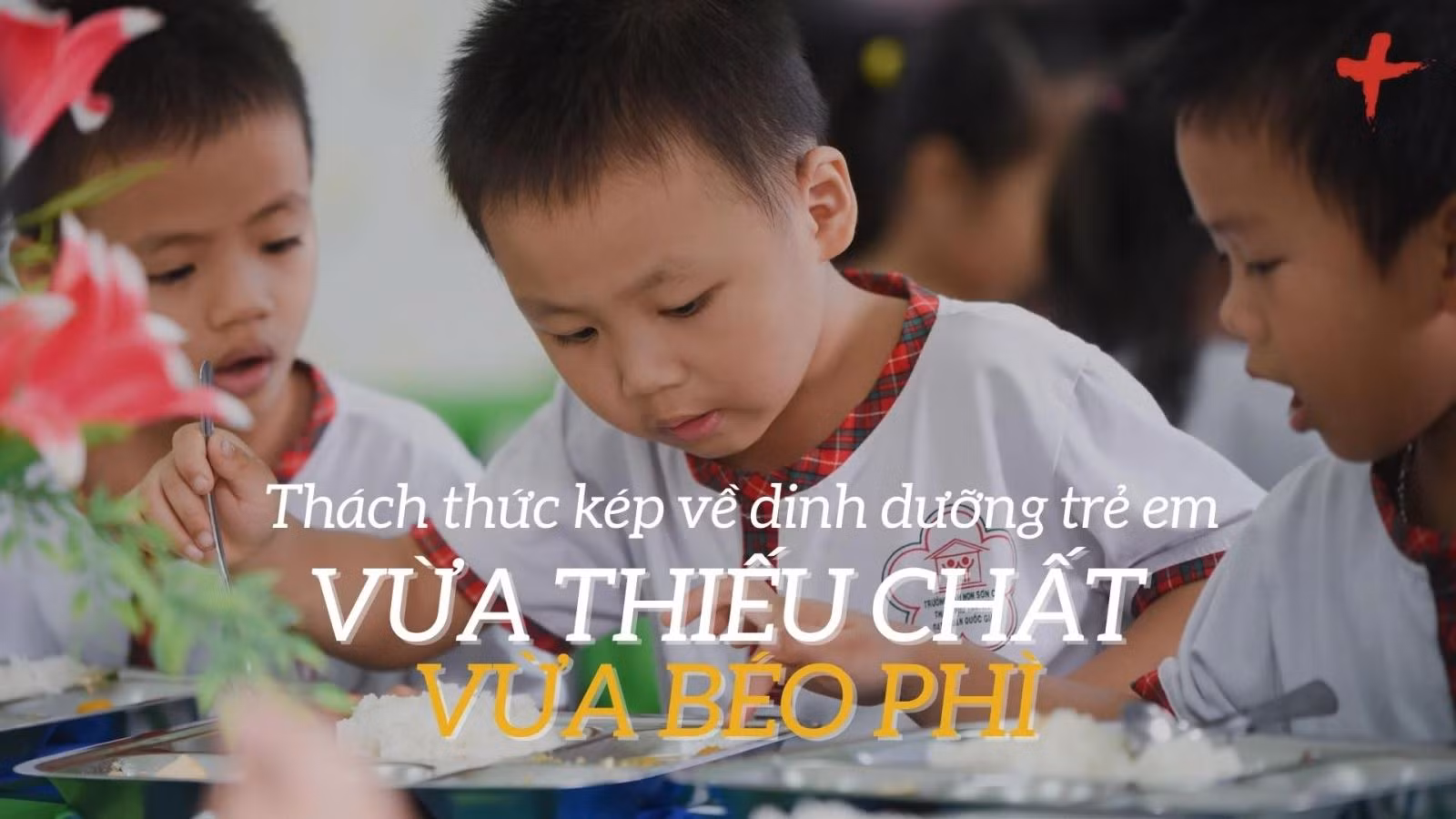 Thách thức kép về dinh dưỡng, khát vọng nâng cao tầm vóc việt ảnh 5