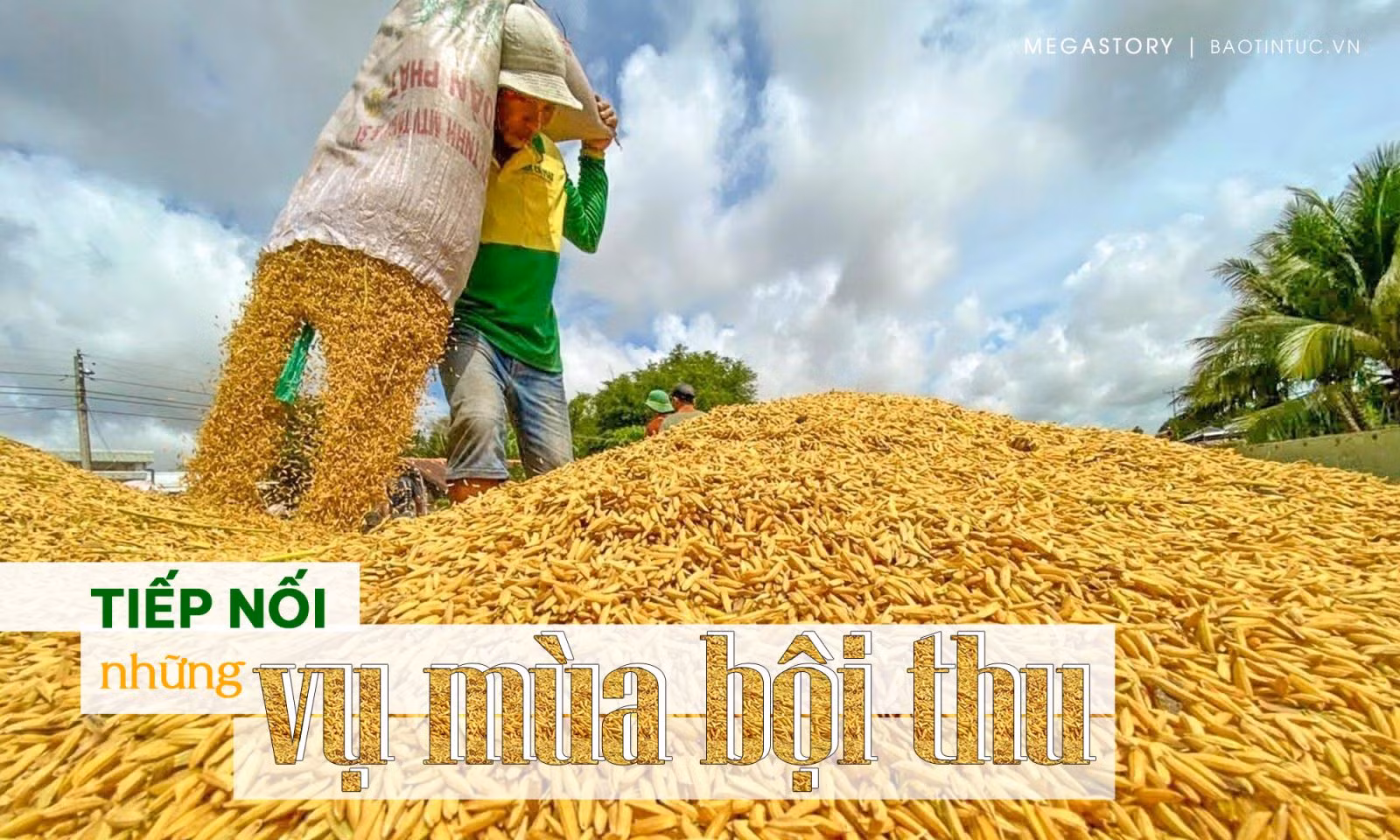 Tiếp nối những vụ mùa bội thu