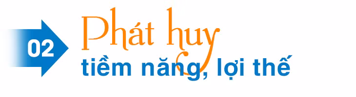 'Vươn mình' từ biển ảnh 5