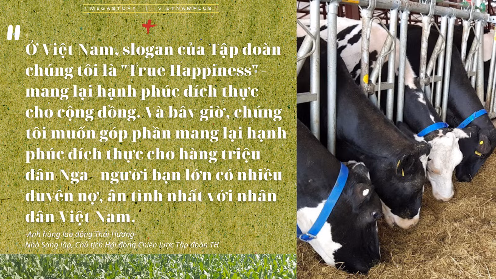Dự án biểu tượng tình hữu nghị Việt - Nga ảnh 7