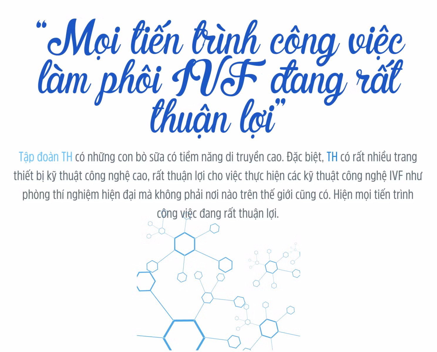 Trang trại đầu tiên tại Việt Nam thụ tinh ống nghiệm cho... bò sữa ảnh 11