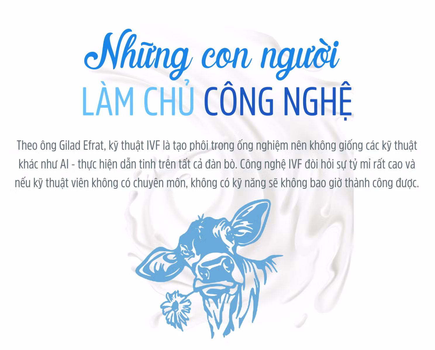 Trang trại đầu tiên tại Việt Nam thụ tinh ống nghiệm cho... bò sữa ảnh 9