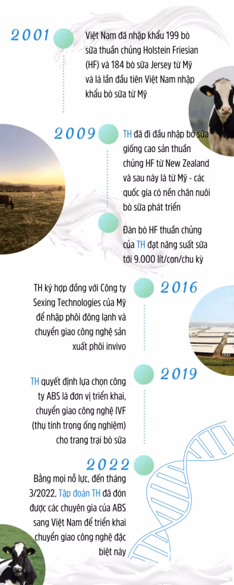 Trang trại đầu tiên tại Việt Nam thụ tinh ống nghiệm cho... bò sữa ảnh 4