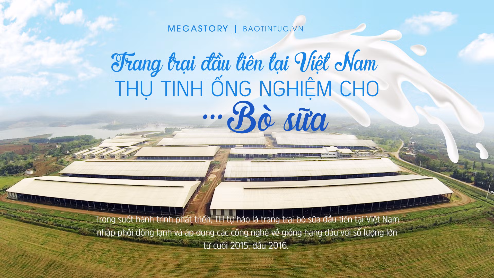 Trang trại đầu tiên tại Việt Nam thụ tinh ống nghiệm cho... bò sữa