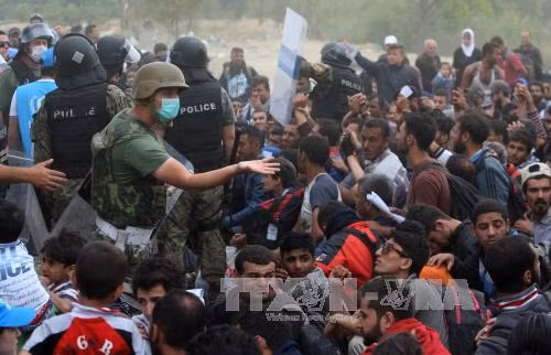 Tuần hành ở Australia ủng hộ người di cư Syria ảnh 5