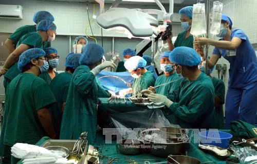 Sức khỏe hai bệnh nhân ghép tạng tiến triển tốt ảnh 1