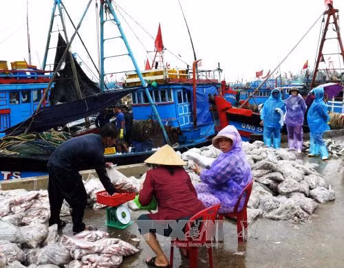 Bão số 3 suy yếu thành áp thấp nhiệt đới ảnh 5