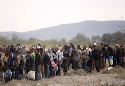 Khi người di cư đua nhau tự nhận là công dân Syria ảnh 1