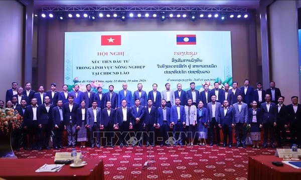 Tạo động lực mới cho hợp tác nông nghiệp chiến lược Việt Nam - Lào