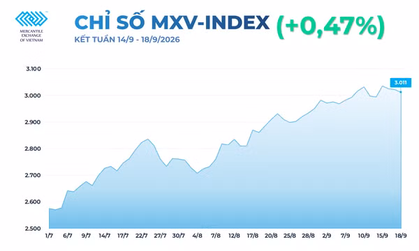 MXV-Index giằng co trên vùng 3.000 điểm