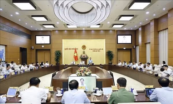UBTV Quốc hội cho ý kiến về dự án Bộ luật Hình sự (sửa đổi)