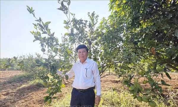 Dựng cơ nghiệp từ vùng đất cằn