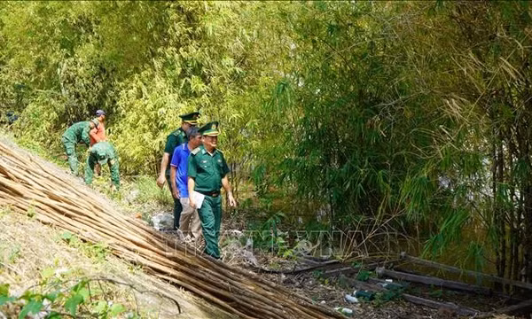 Dựng 'vành đai xanh' nơi phên giậu Tổ quốc