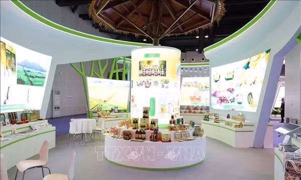 Doanh nghiệp Việt mở rộng cơ hội tại CAEXPO 2026