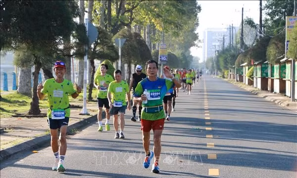 Hơn 15.500 vận động viên tranh tài ở Giải Marathon Đất sen hồng