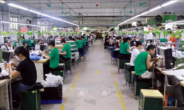 Gắn kết người lao động và doanh nghiệp