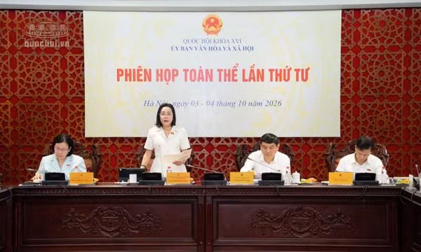 Ủy ban Văn hóa và Xã hội của Quốc hội thẩm tra các dự án luật