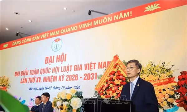 Hội Luật gia Việt Nam đẩy mạnh phổ biến, tư vấn pháp luật cơ sở