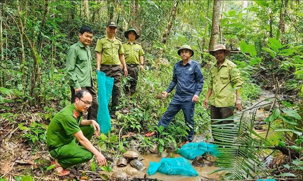 Đưa 31 cá thể động vật rừng nguy cấp, quý, hiếm trở lại môi trường tự nhiên
