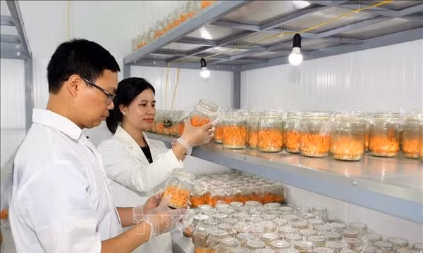 Ngày Phụ nữ Việt Nam 20/10: Khởi nghiệp và lan tỏa giá trị tốt đẹp