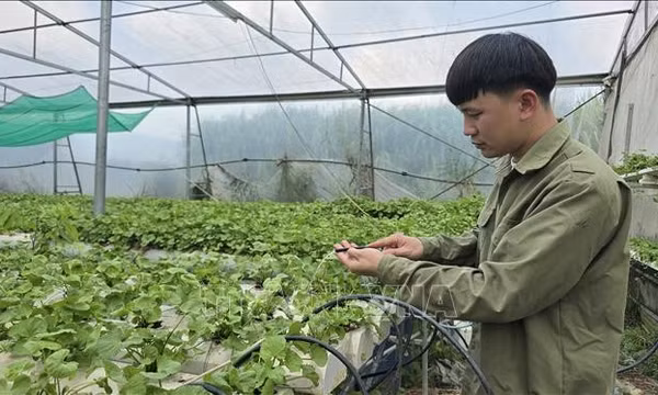 Nông dân tự tin chuẩn hóa thương hiệu cho nông sản
