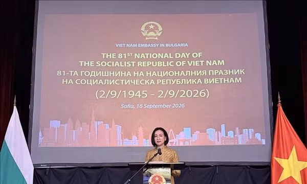 Thúc đẩy quan hệ Đối tác Chiến lược Việt Nam - Bulgaria đi vào thực chất