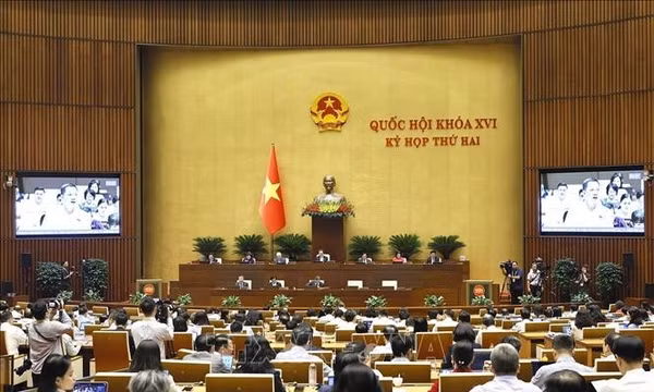 Cử tri gửi gắm kỳ vọng thúc đẩy phát triển vùng miền núi, biên giới