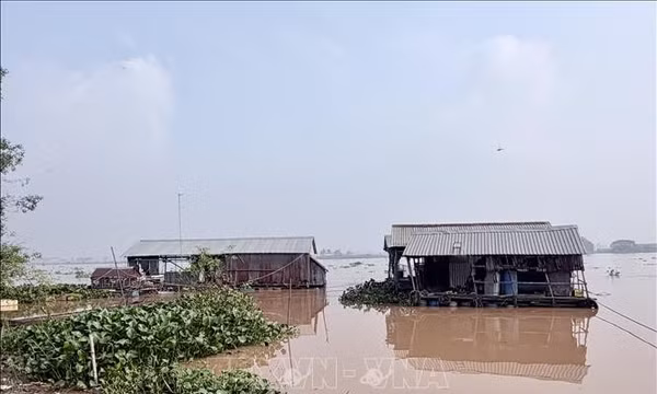 An Giang cảnh báo nguy cơ ngập do lũ kết hợp triều cường