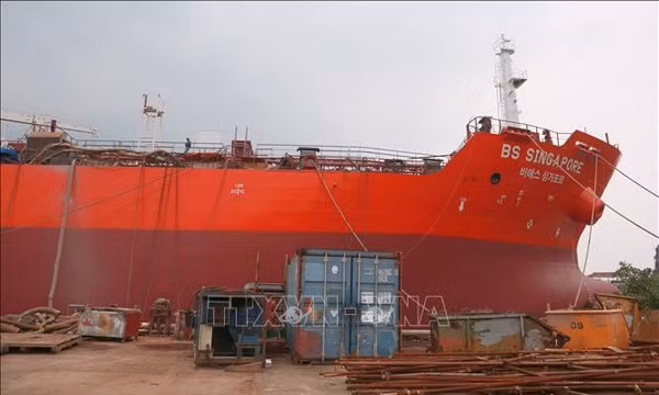 Nghị quyết 20: Phát triển nhân lực biển tinh hoa và lành nghề