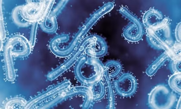 Pháp ghi nhận ca nhiễm virus hiếm gặp ở người