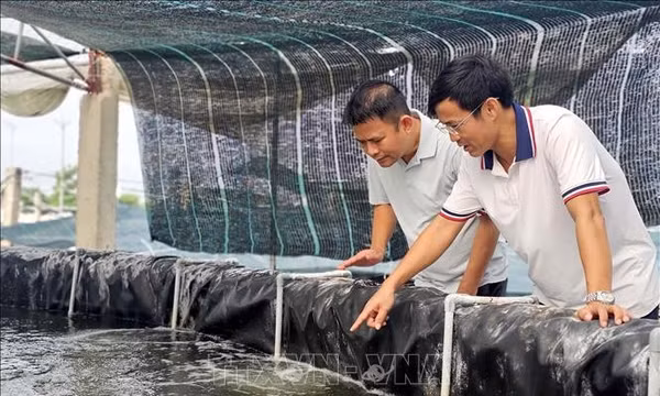 Động lực để nông dân xứ Nghệ chuyển mình mạnh mẽ