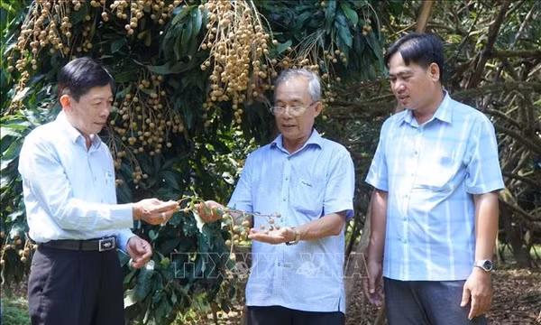 Chuyển đổi xanh và số nâng tầm thương hiệu nhãn Châu Thành