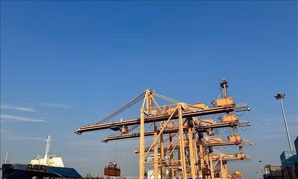 Từ ký ức ba lần đón Bác đến hành trình vươn ra biển lớn
