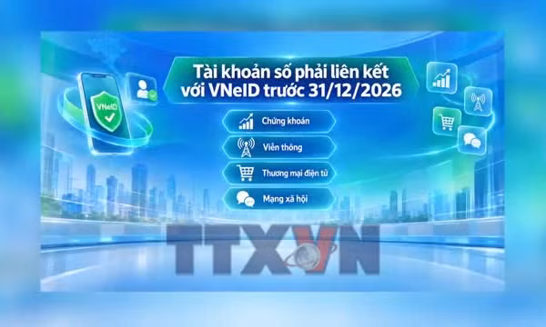 Liên kết tài khoản chứng khoán với VneID như thế nào?