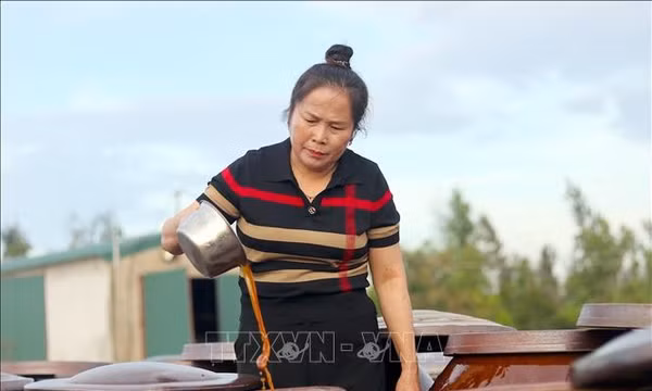 Bền bỉ giữ nghề, nâng tầm đặc sản quê hương