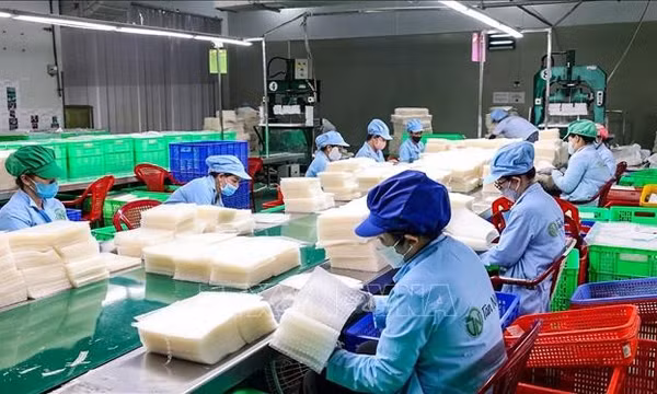 Nâng chất OCOP, tạo động lực mới cho kinh tế nông thôn