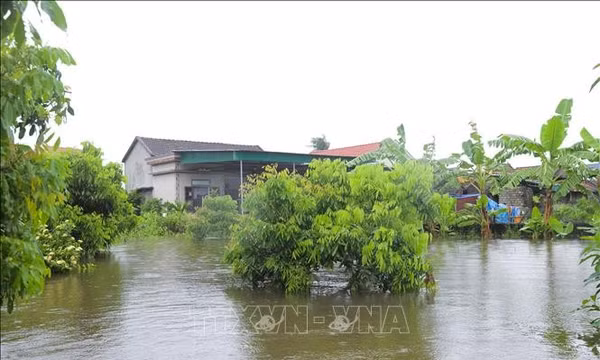 Mưa lũ gây ngập hơn 16.000 căn nhà và thiệt hại nặng nề về nông nghiệp